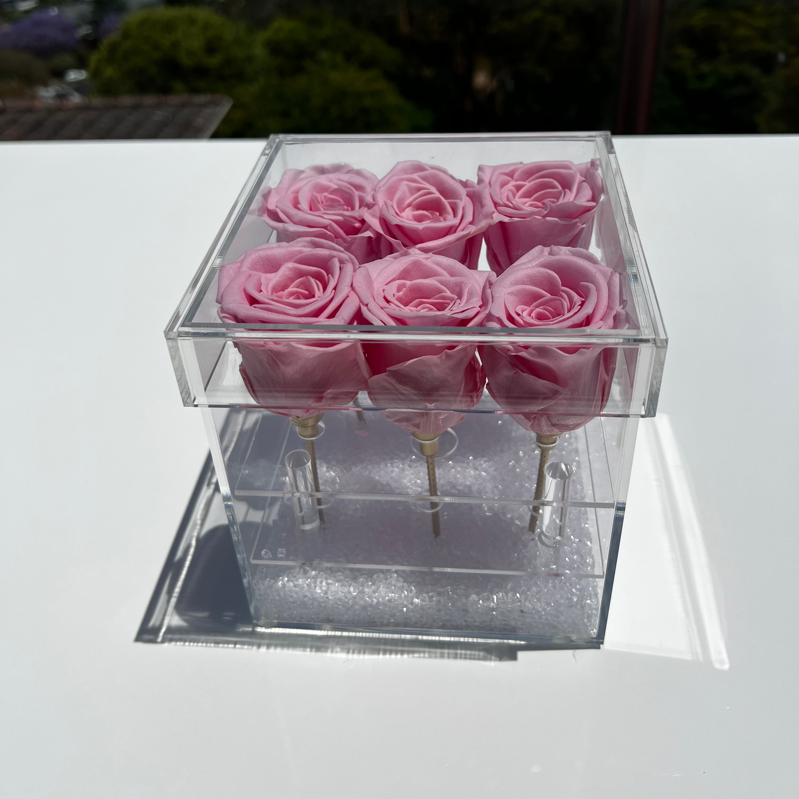 Worldwide Emporium Everlasting pink roses