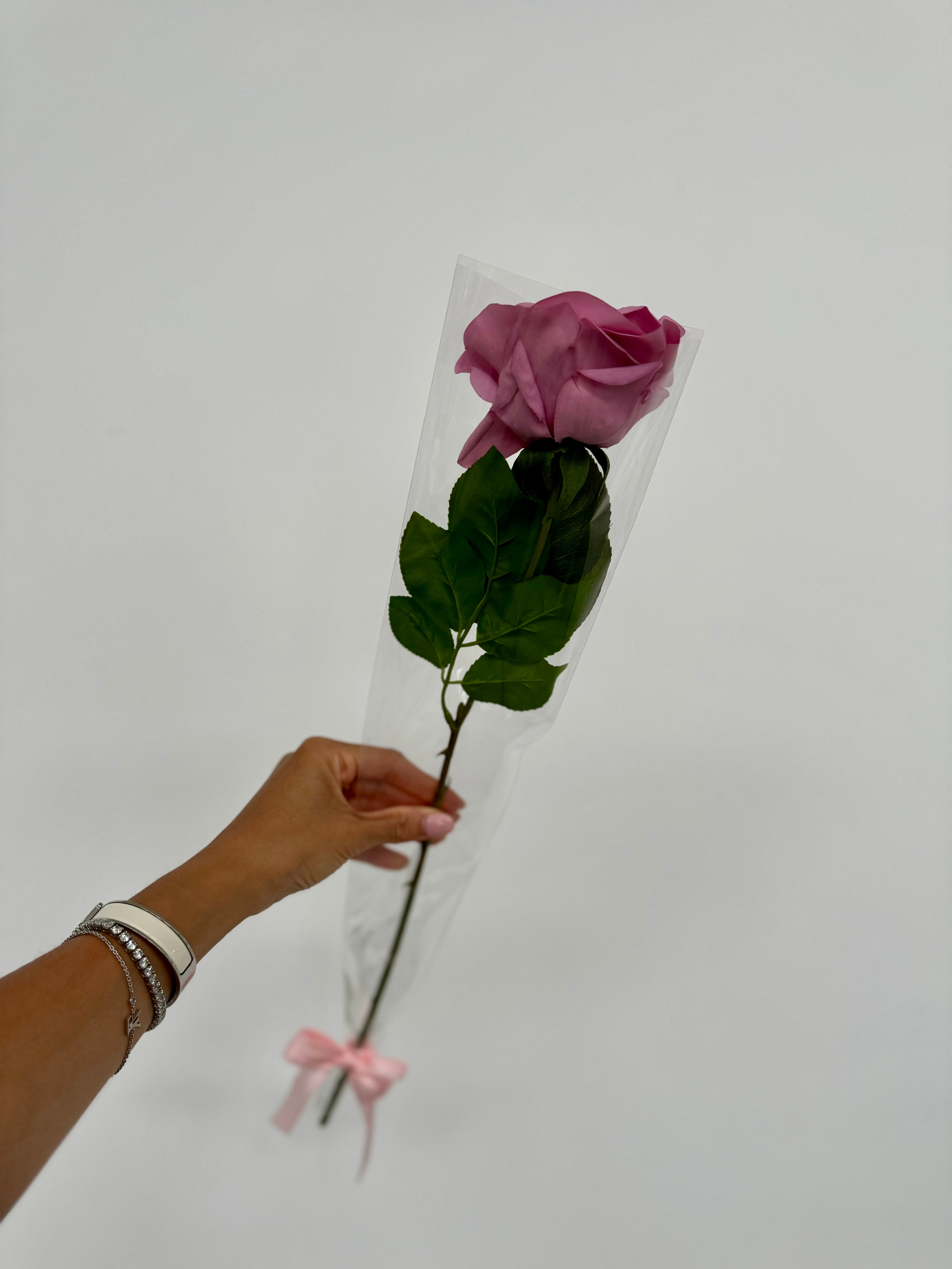 Infinity rose