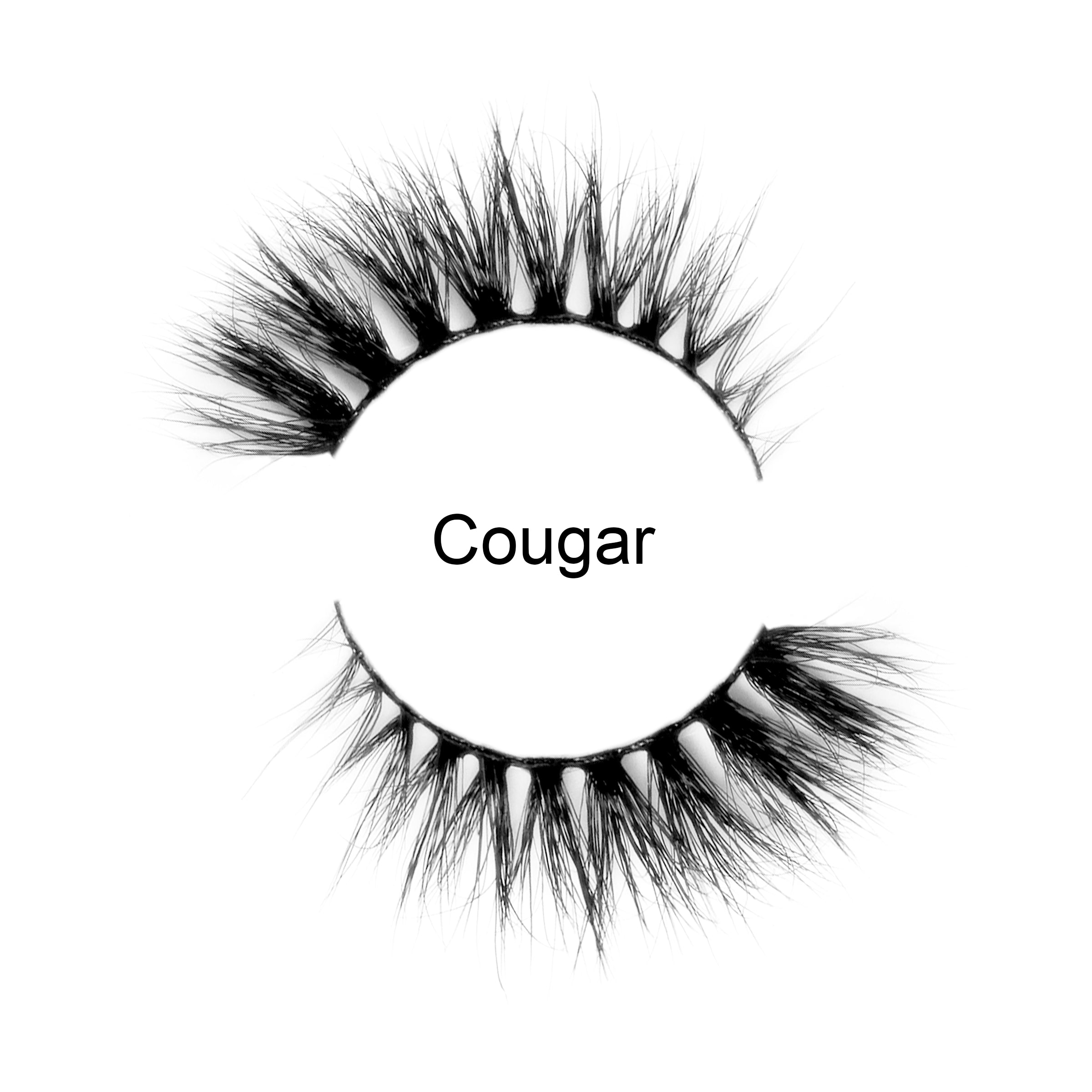 Cougar | Mink