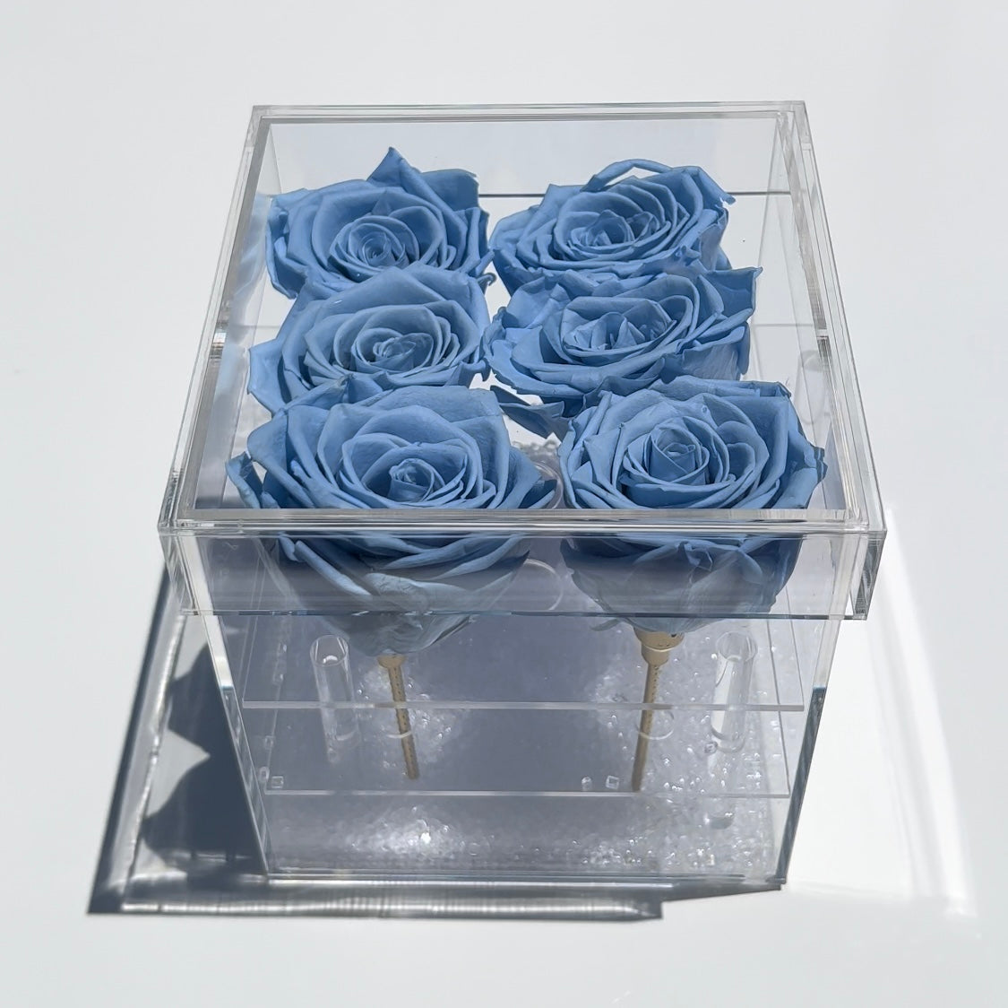 Worldwide Emporium Everlasting blue roses