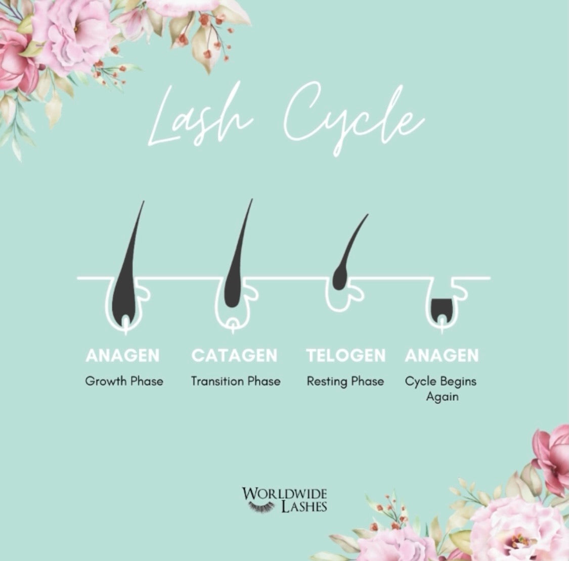 BULK and SAVE Eyelash Extensions | 20 trays | Lash Technician discount