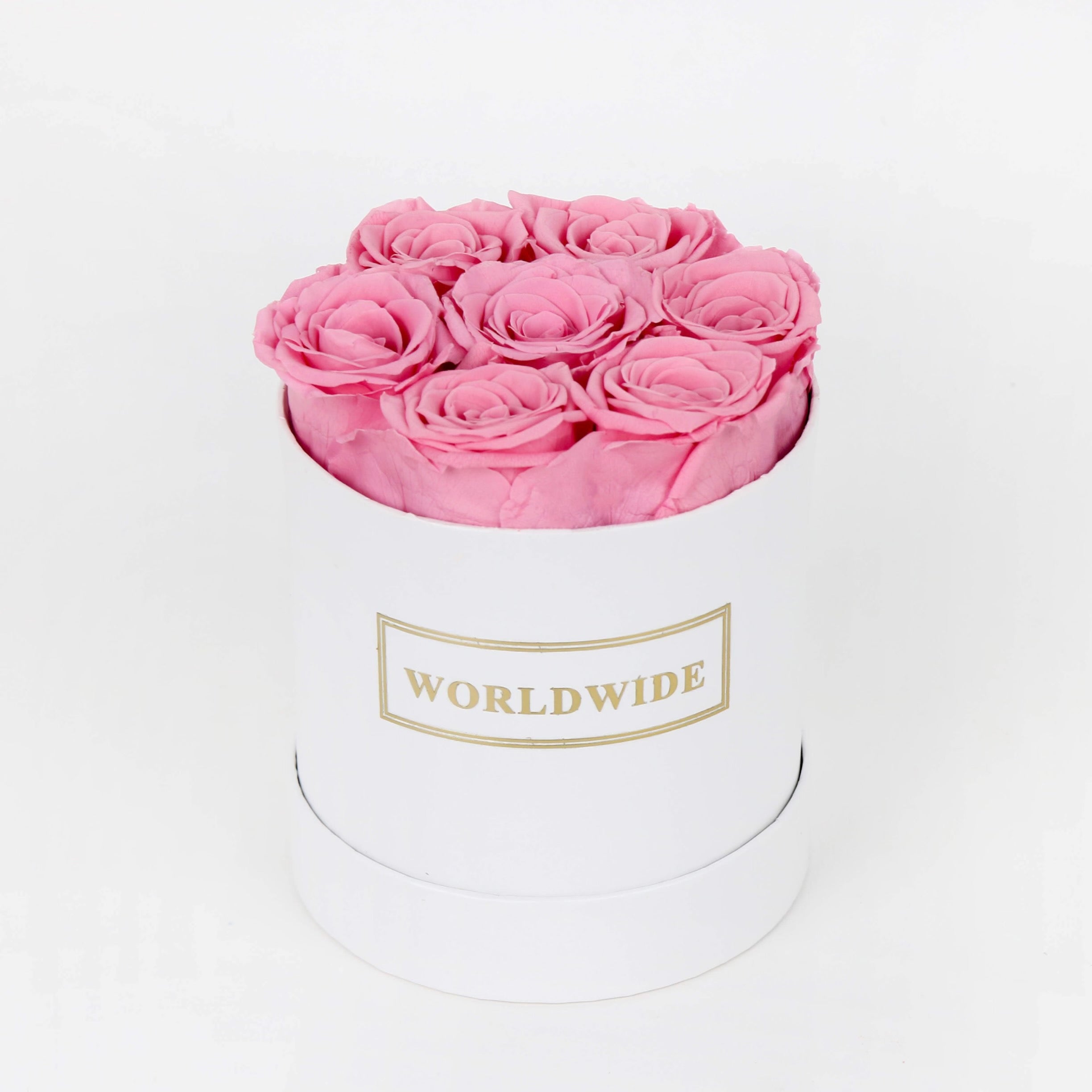 Everlasting pink roses - Worldwide