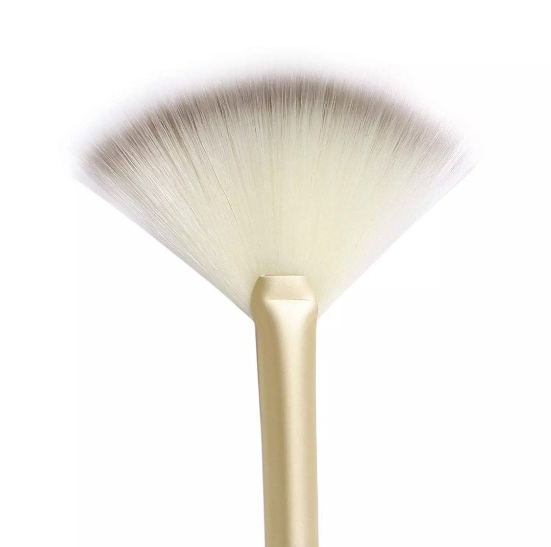 Highlighter Fan Makeup Brush