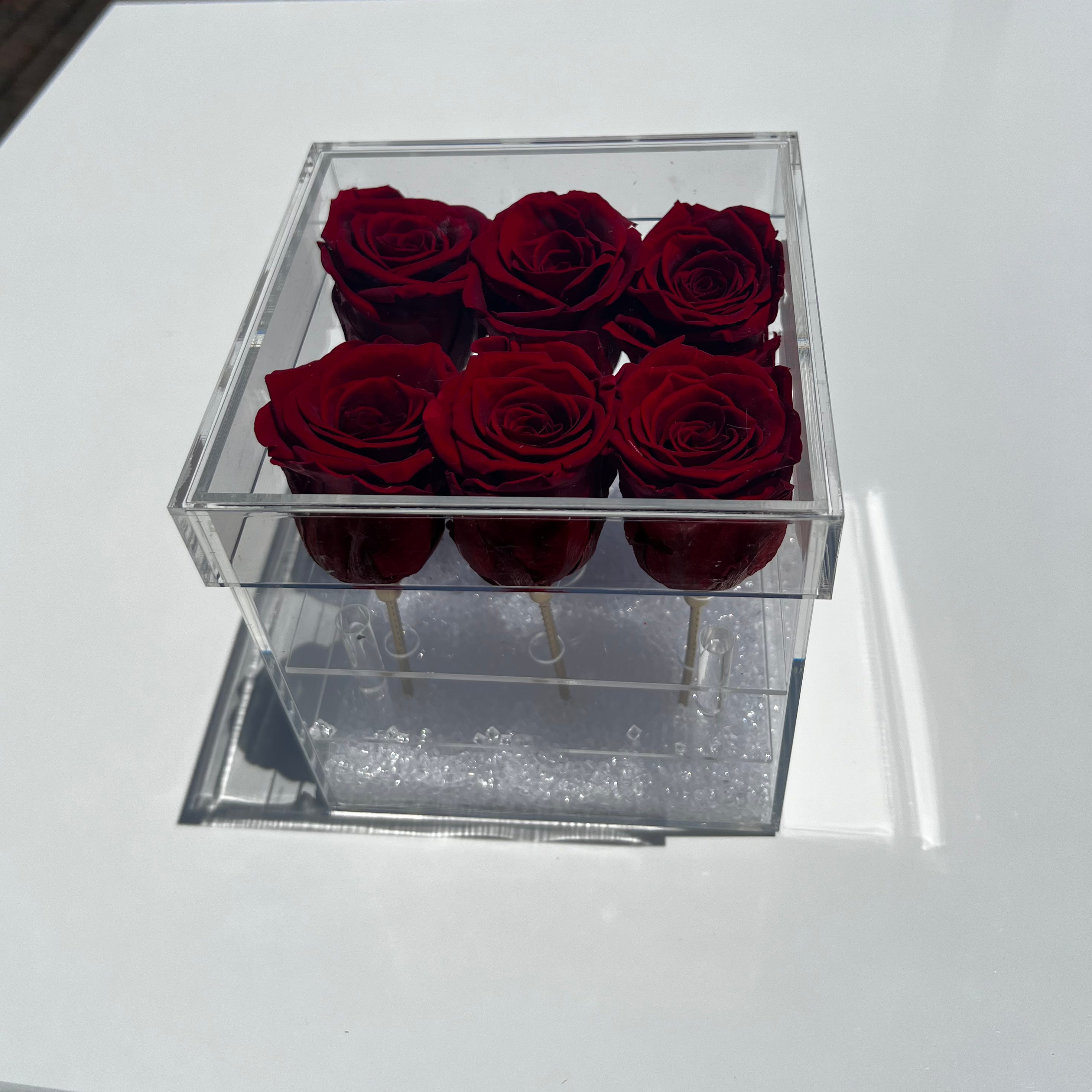 Worldwide Emporium Everlasting red roses